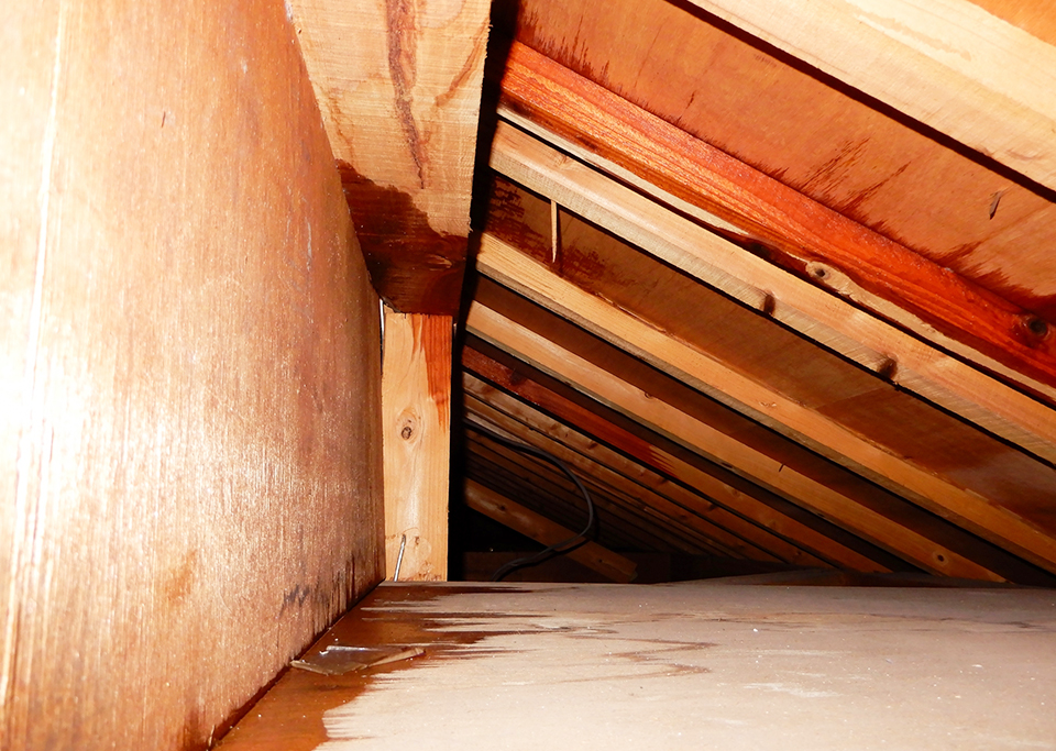 小屋裏に見える雨漏りの水濡れ跡