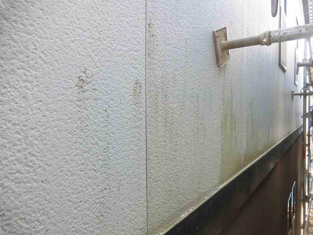 外壁にコケが生える根本的な原因とは？コケが生えにくい・生えやすい外壁も紹介！